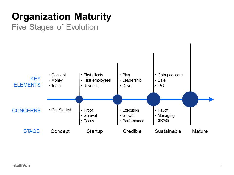 Organization Maturity - Sustainable Stage